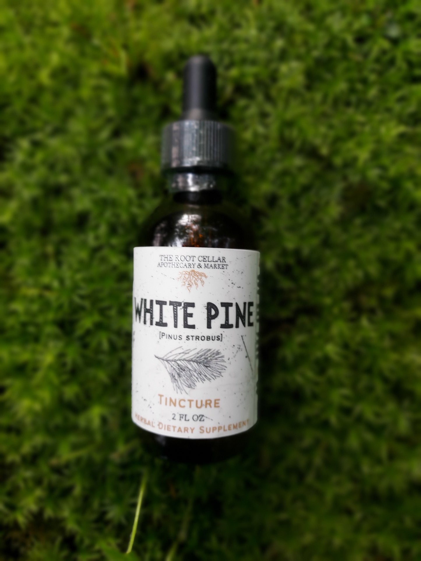White Pine Tincture