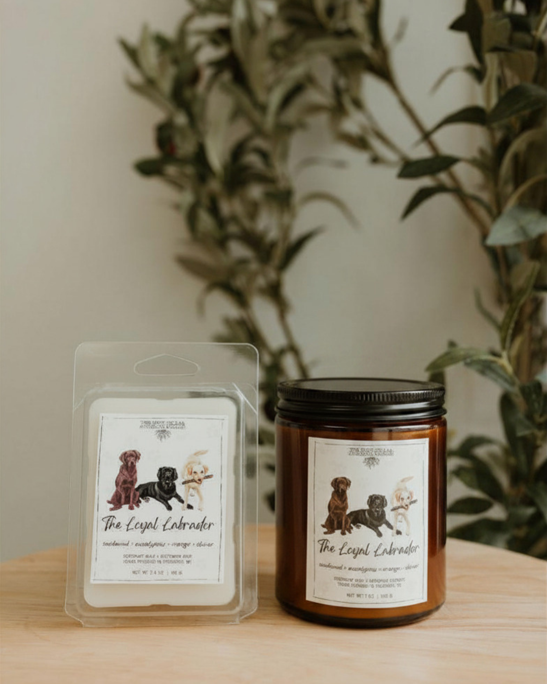 The Loyal Labrador | Coconut Wax + Beeswax Candle