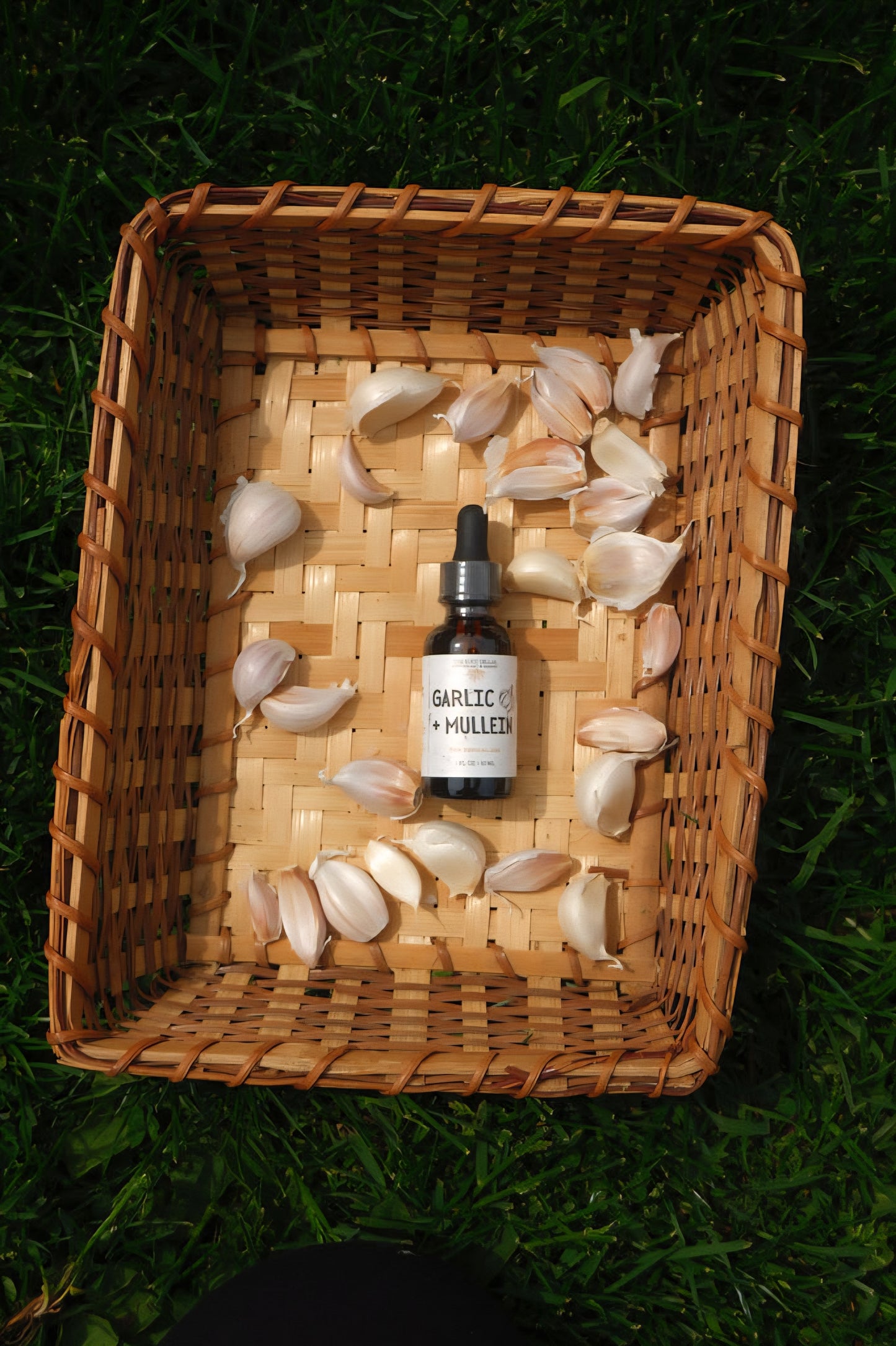 Garlic + Mullein Oil