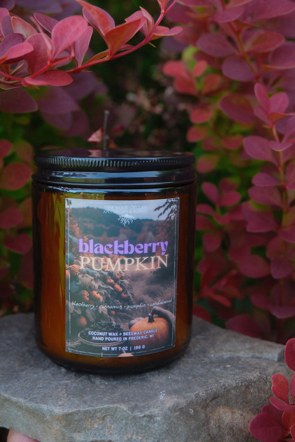 Blackberry Pumpkin | Coconut Wax + Beeswax Candle