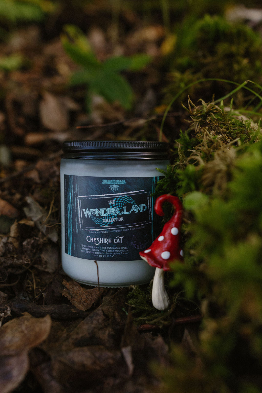 Cheshire Cat | The Wonderland Collection | Coconut Wax + Beeswax Candle