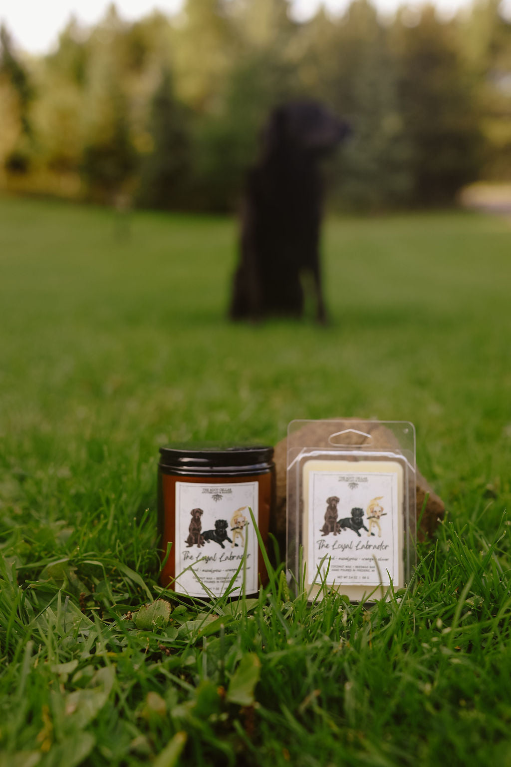 The Loyal Labrador | Coconut Wax + Beeswax Candle
