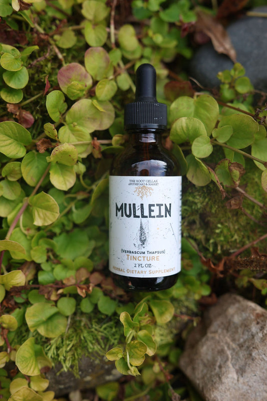 Tincture | Mullein