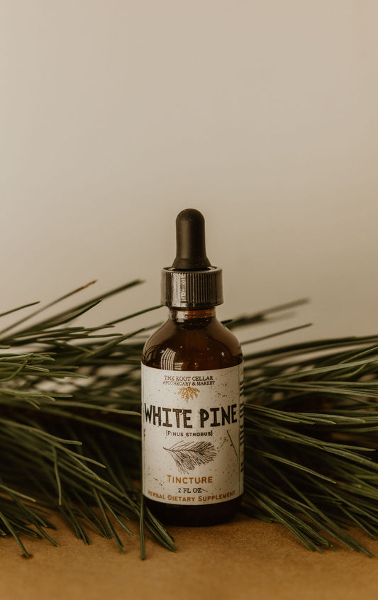 White Pine Tincture