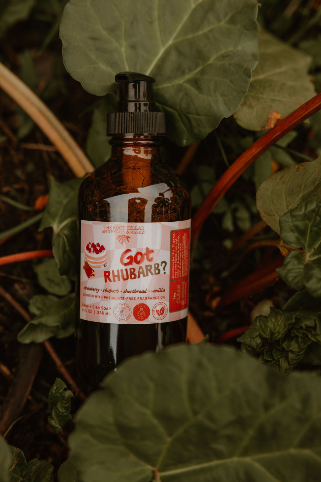 Got Rhubarb? | Hand + Dish Soap